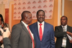Встреча в рамках ПМЭФ-2012 с премьер-министром Кении.